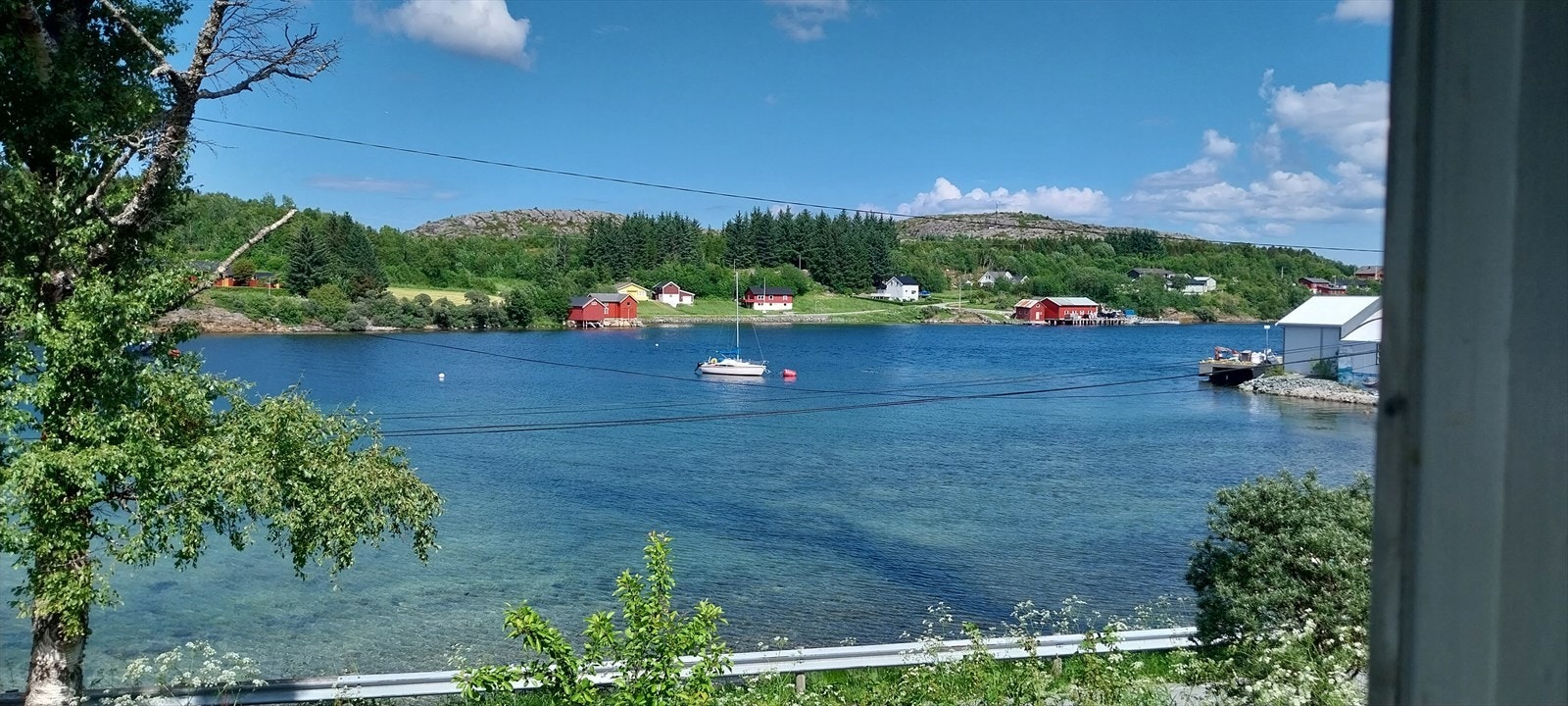 Selgers private bilder. Galleribilde