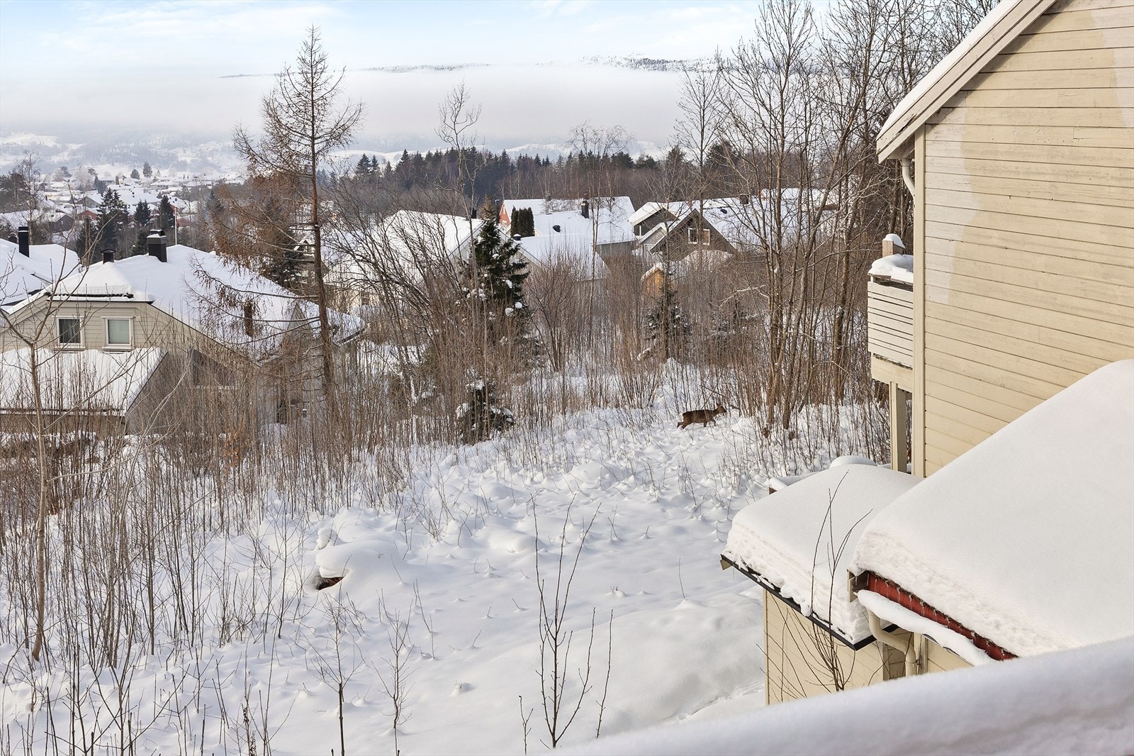 Utsikt med ekstra sjarm! Galleribilde