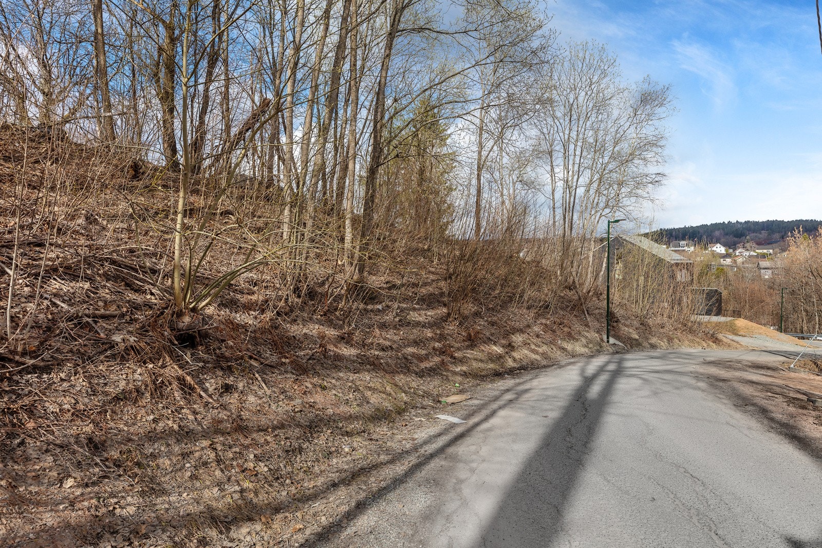 Naturlig vegetasjon på tomten i dag Galleribilde