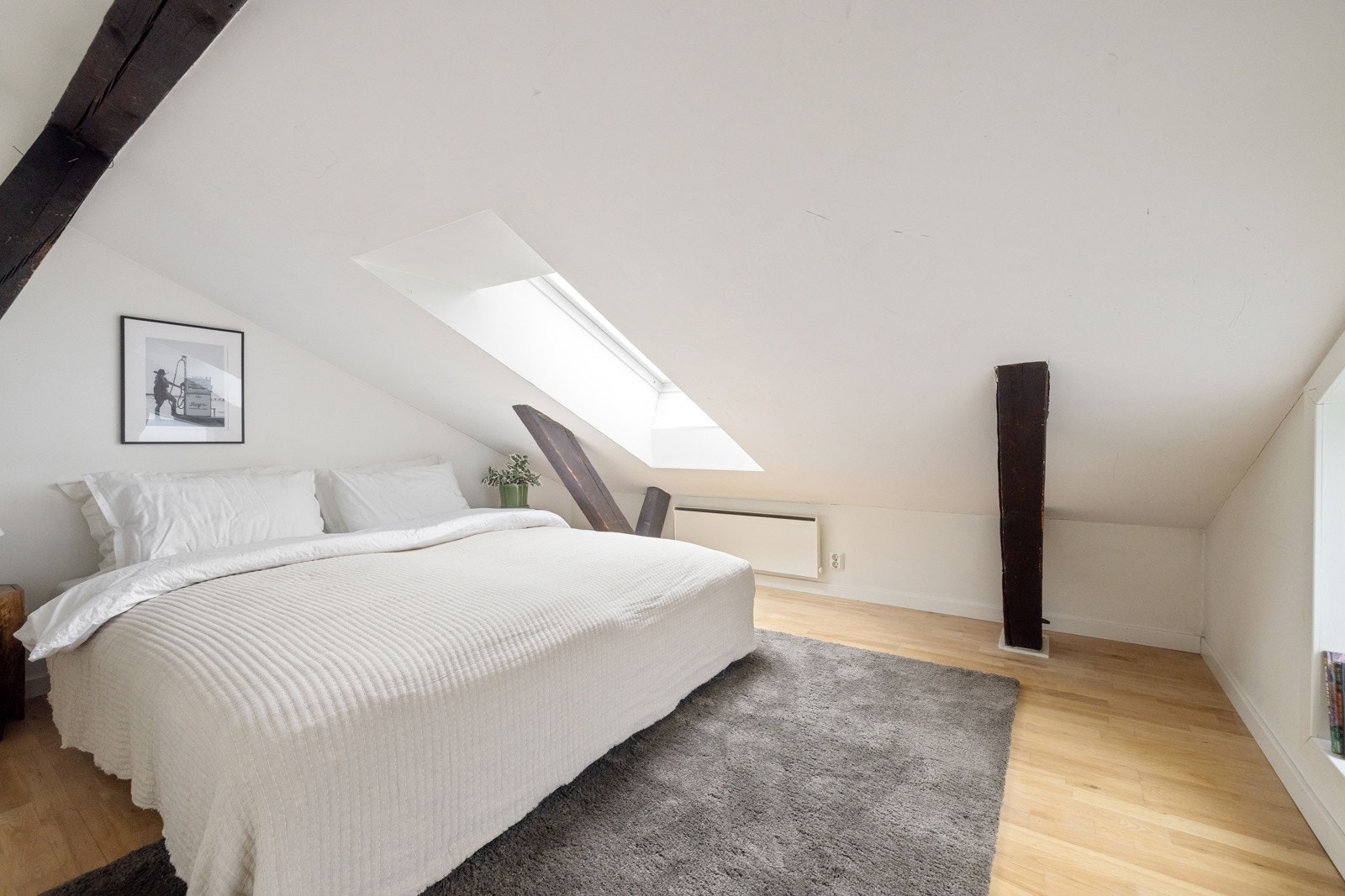 Disprom. Galleribilde