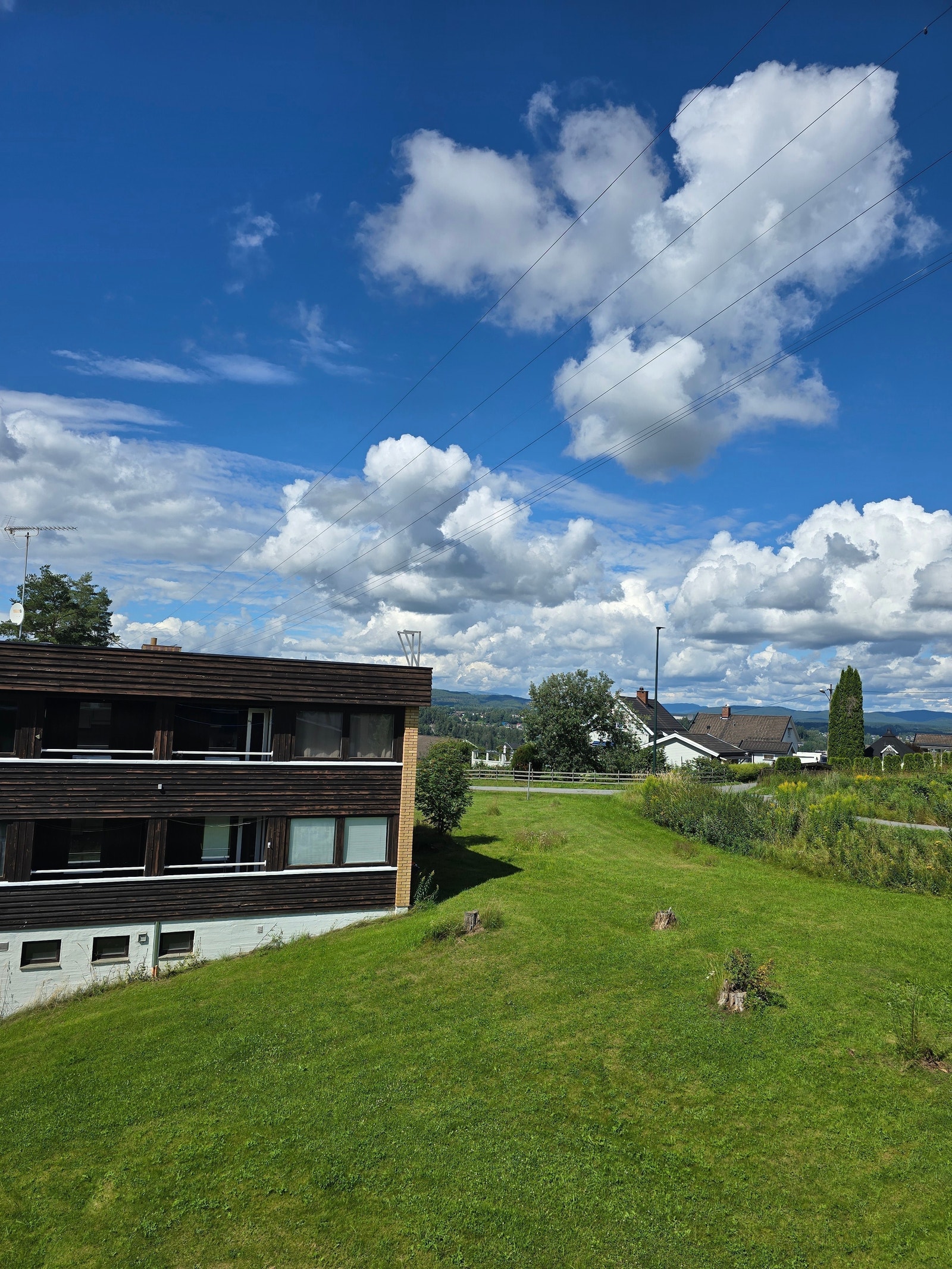 Området Galleribilde