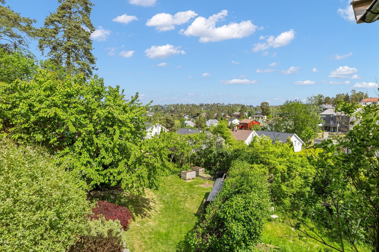 Her bor du høyt og fritt, med vinduer i flere himmelretninger og rikelig med naturlig lys. Galleribilde
