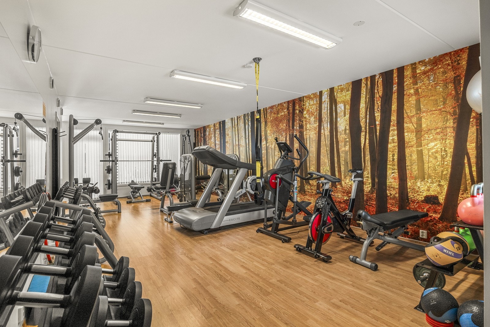 Sameiets trengingsrom Galleribilde