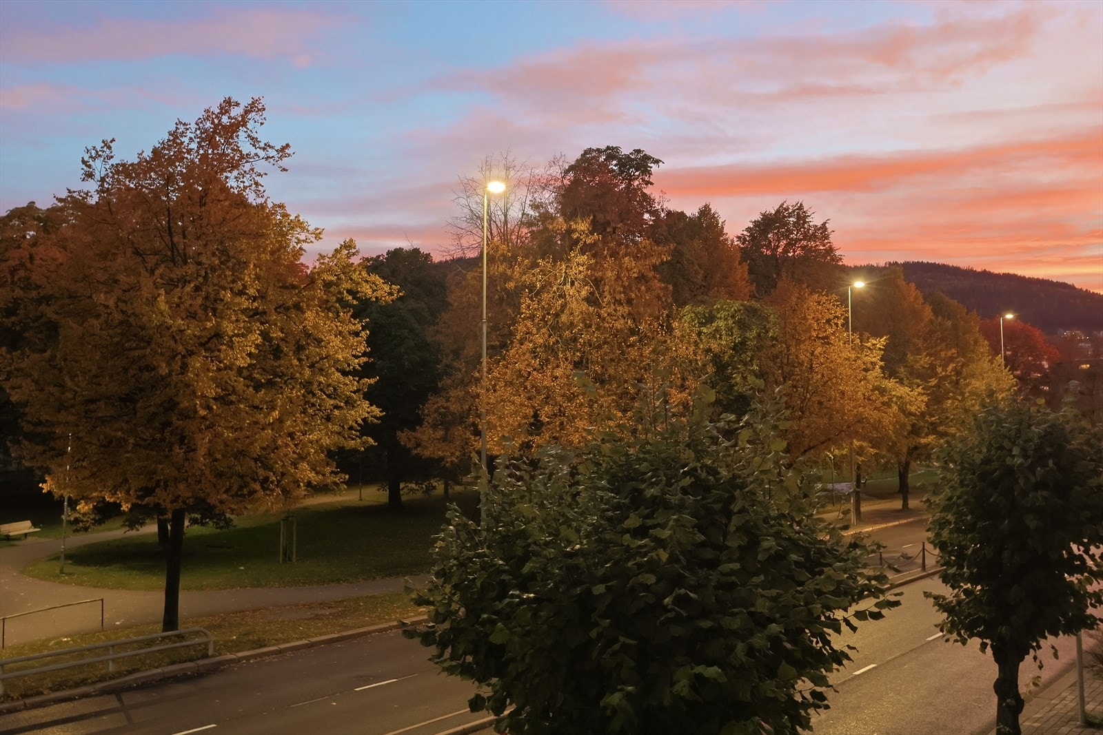 Selgers private bilde Galleribilde