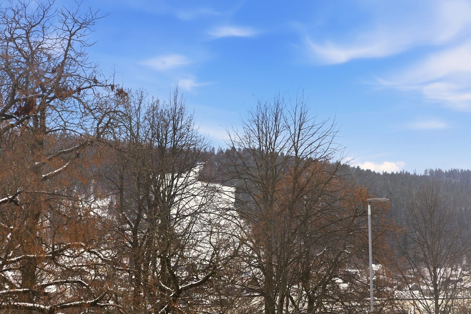 Utsikt fra sofakroken Galleribilde