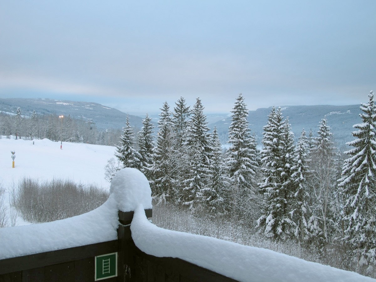 Utsyn mot bakken fra balkong. Galleribilde