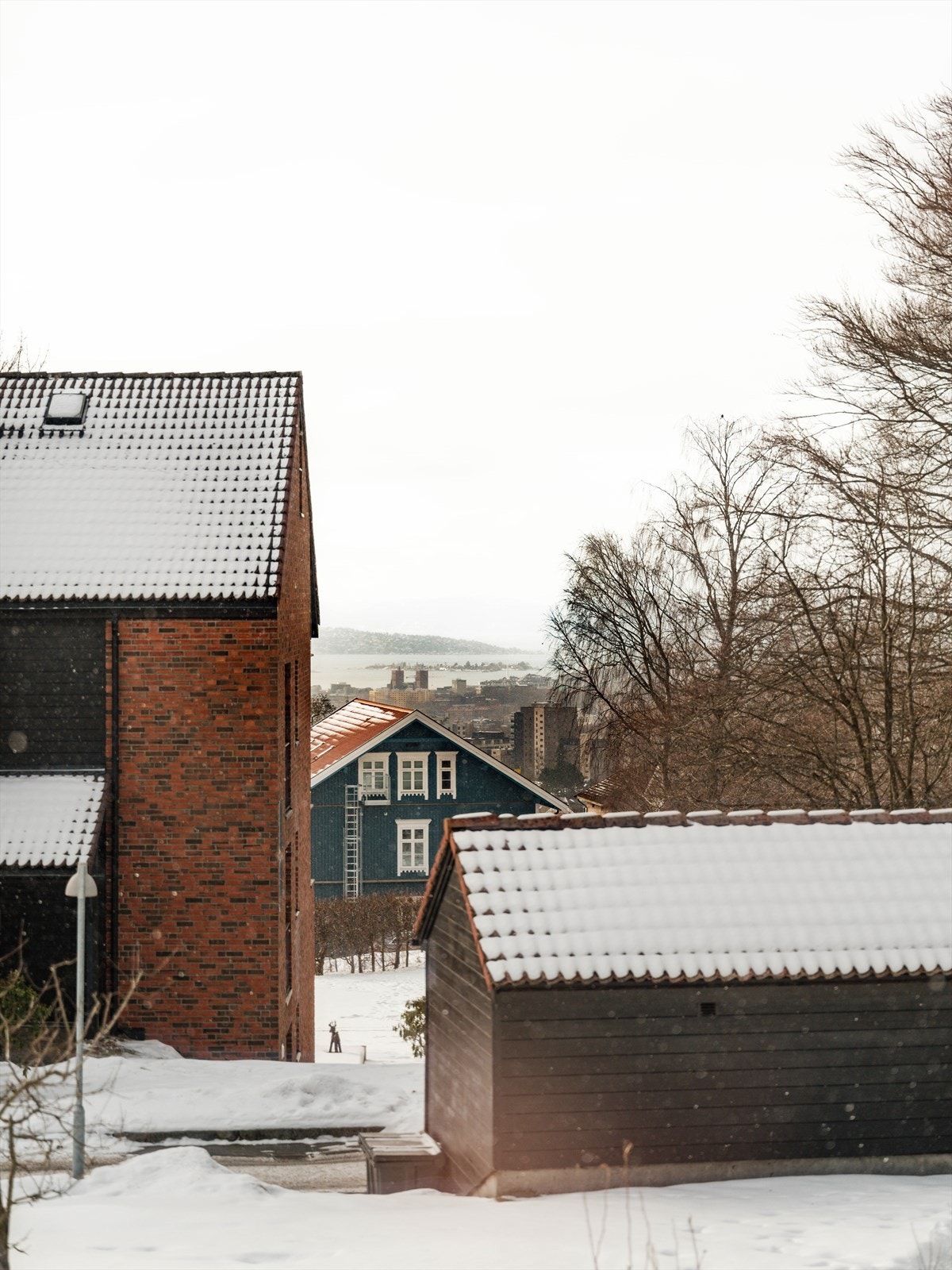 Det er flott utsikt helt ned til Oslofjorden! Galleribilde