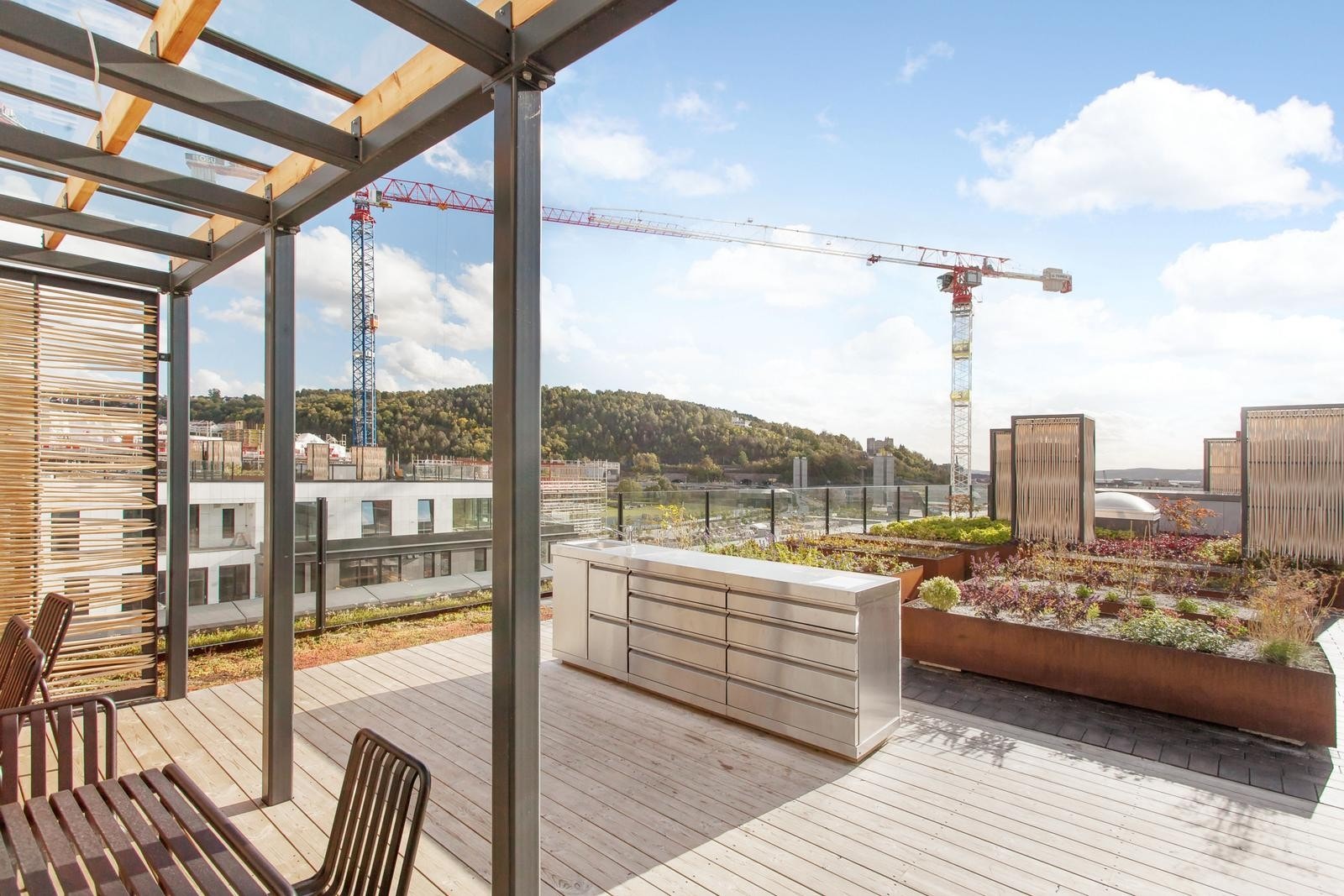 Felles takterrasse Galleribilde