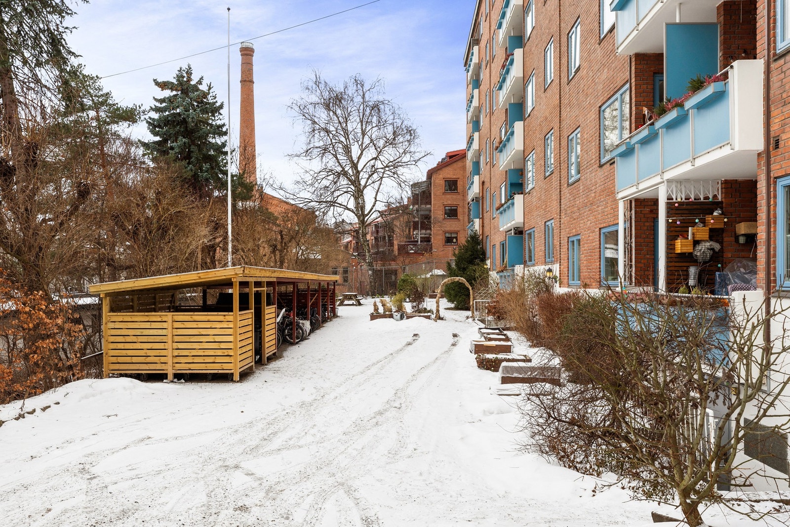 Aksjelaget har en flott bakgård med selvdyrkede matkasser som beboere kan forsyne seg av. Galleribilde