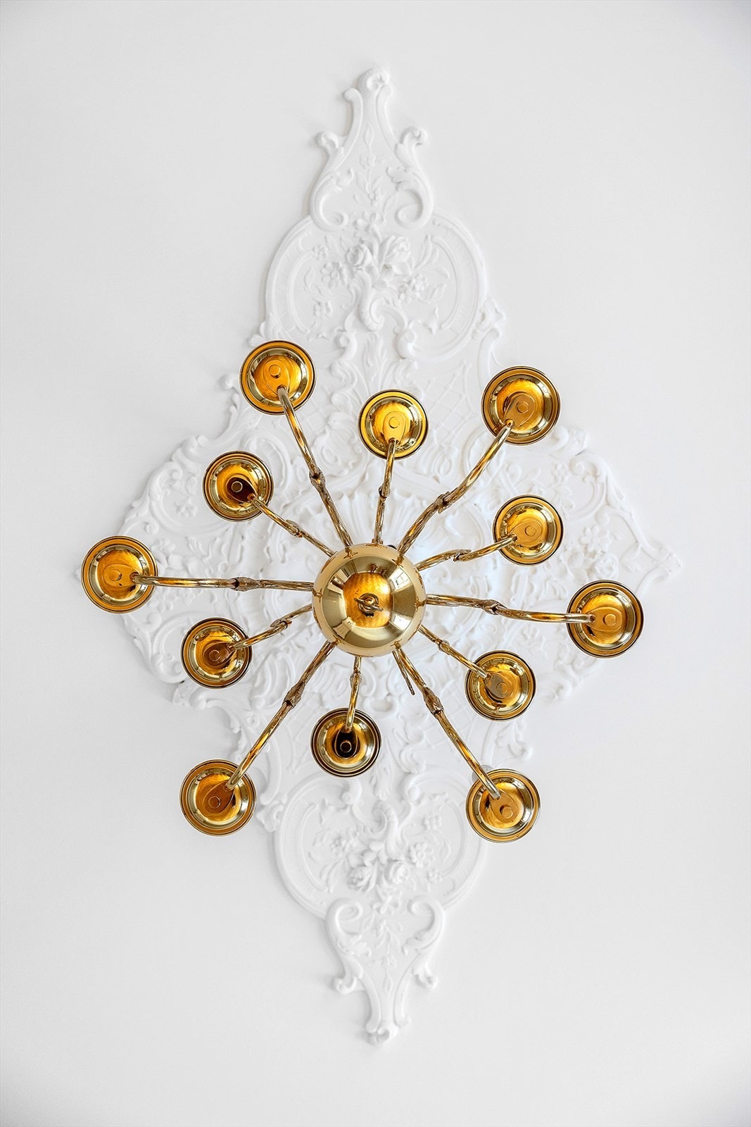 Nydelig roset og lysekrone i himling. Galleribilde