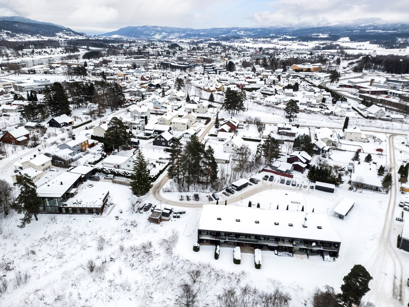 Nærområdet. Galleribilde