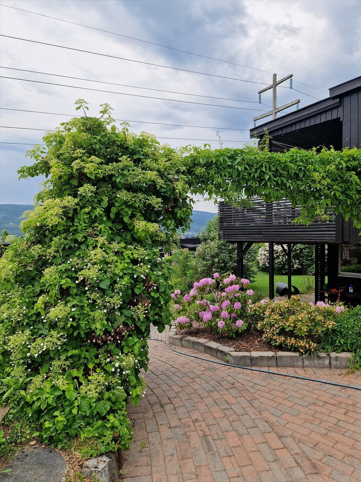 Den romslige hagen innbyr til lek og moro for de yngste i familien. Privat foto. Galleribilde