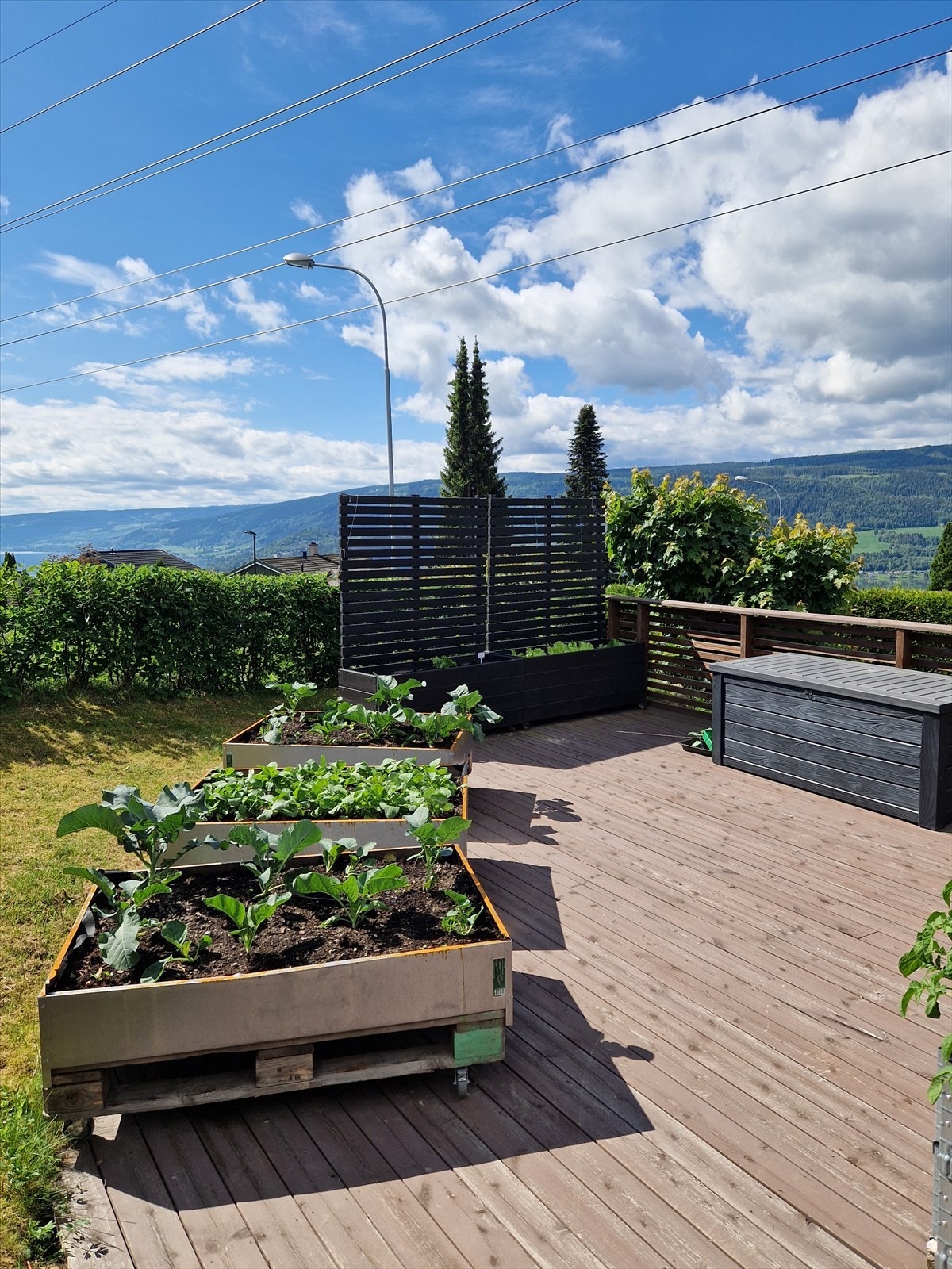 Hyggelig platting/terrasse i hagen. Foto privat. Galleribilde