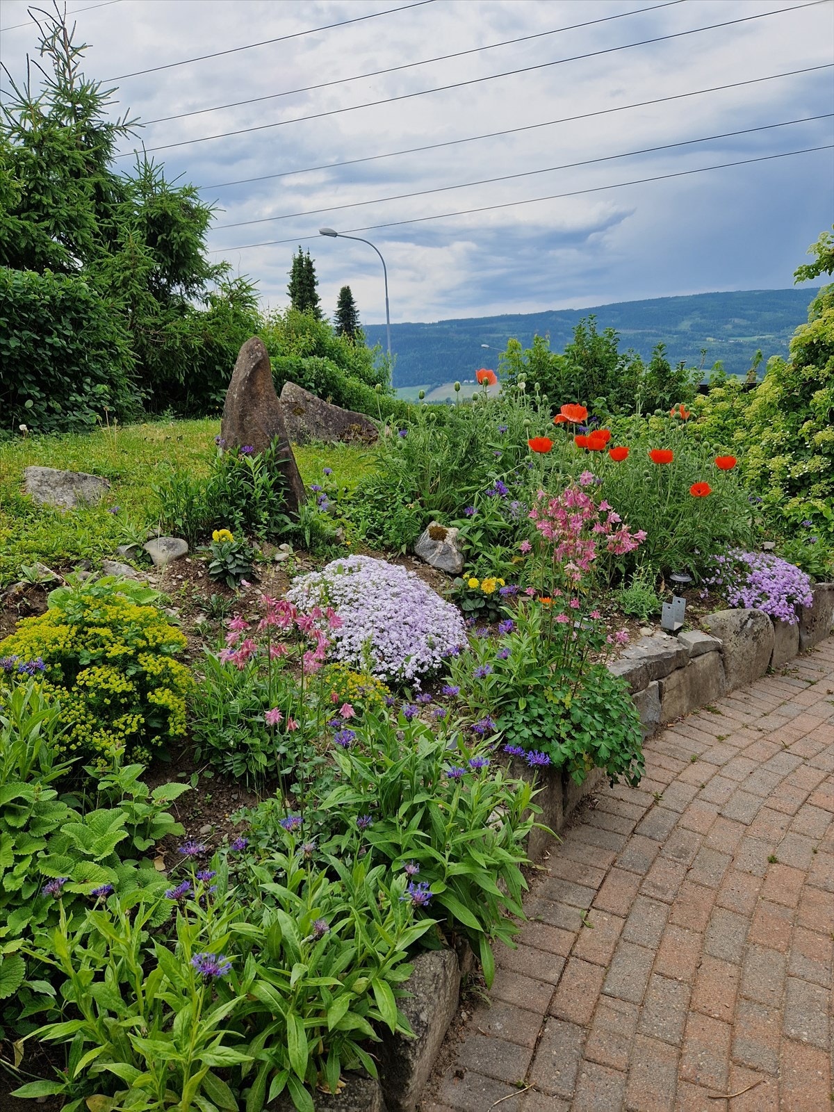 Glimt fra hagen, fra selgers private kamerarull. Galleribilde