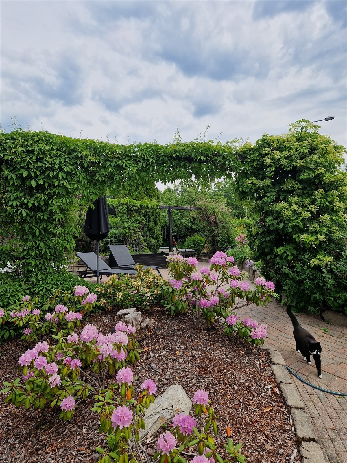 Privat foto. Galleribilde