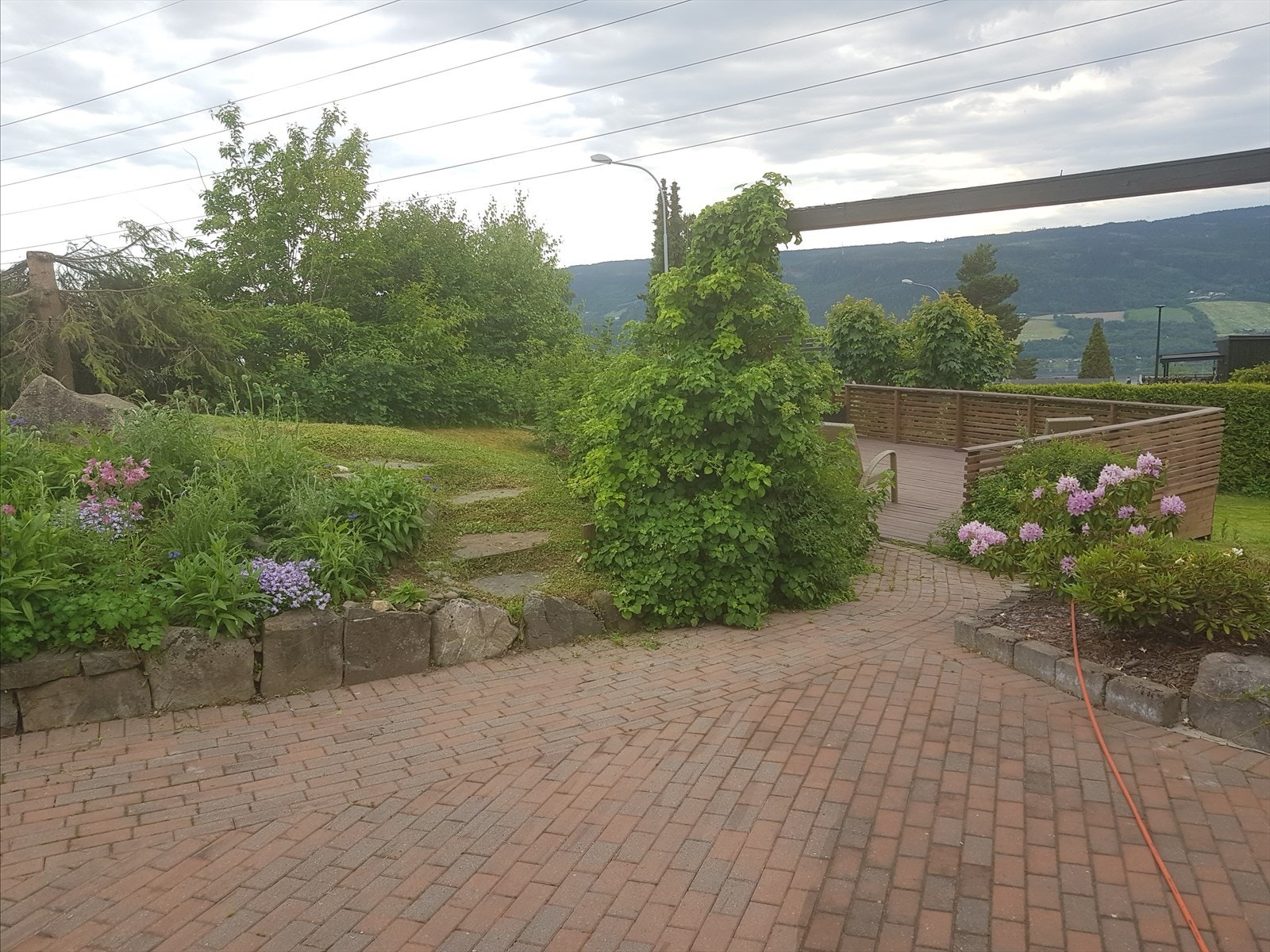 Privat foto. Galleribilde