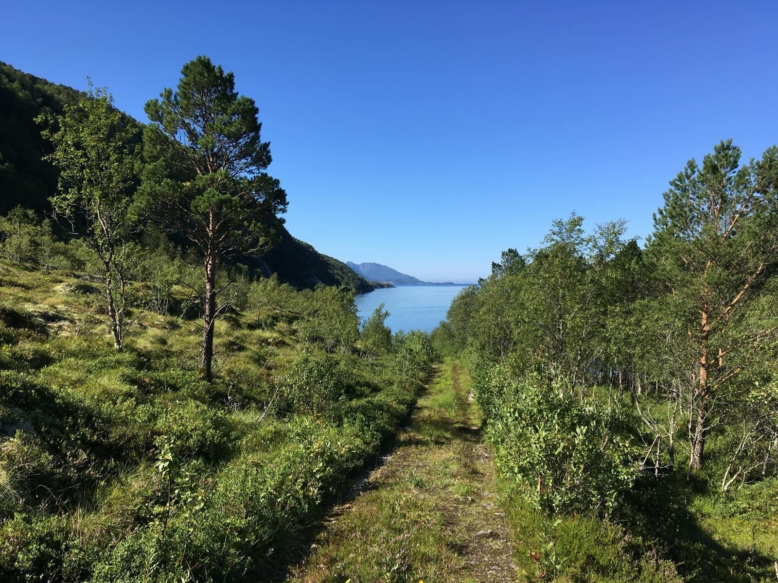 Utsikt mot vest og veien ned mot sjøtomten. Galleribilde