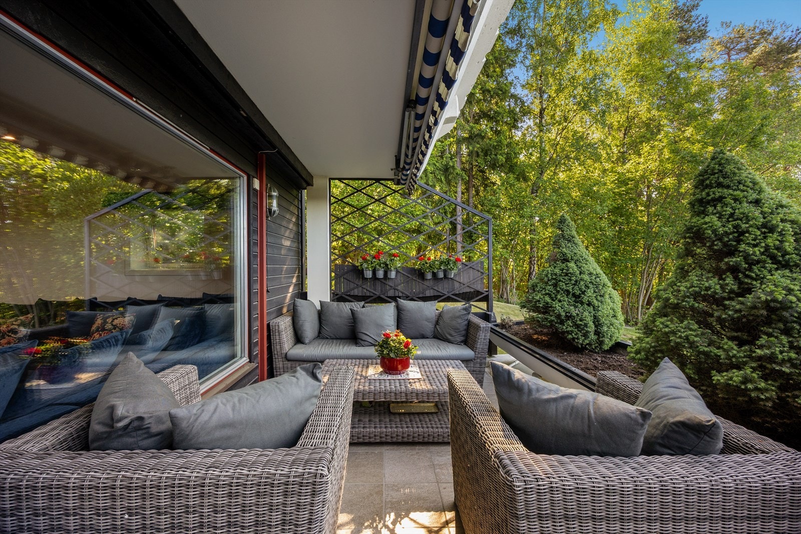 Grønt og frodig sommerstid Galleribilde