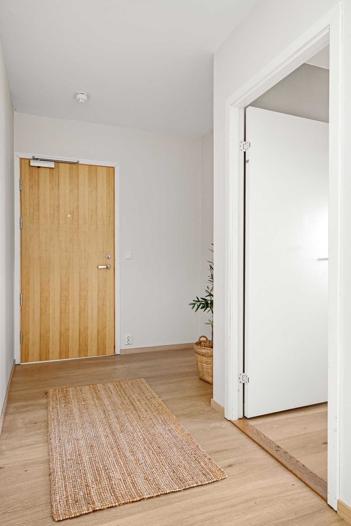 Entré. Galleribilde