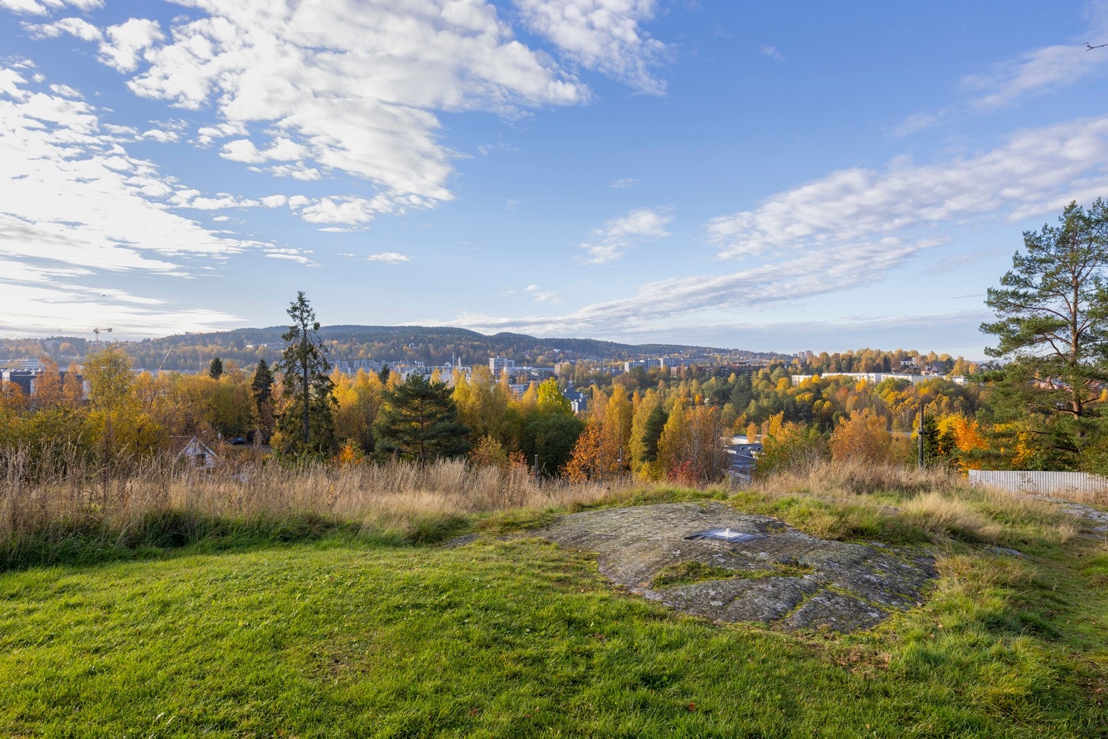 Flotte turmuligheter i nærområdet med marka som nørmeste nabo. Galleribilde