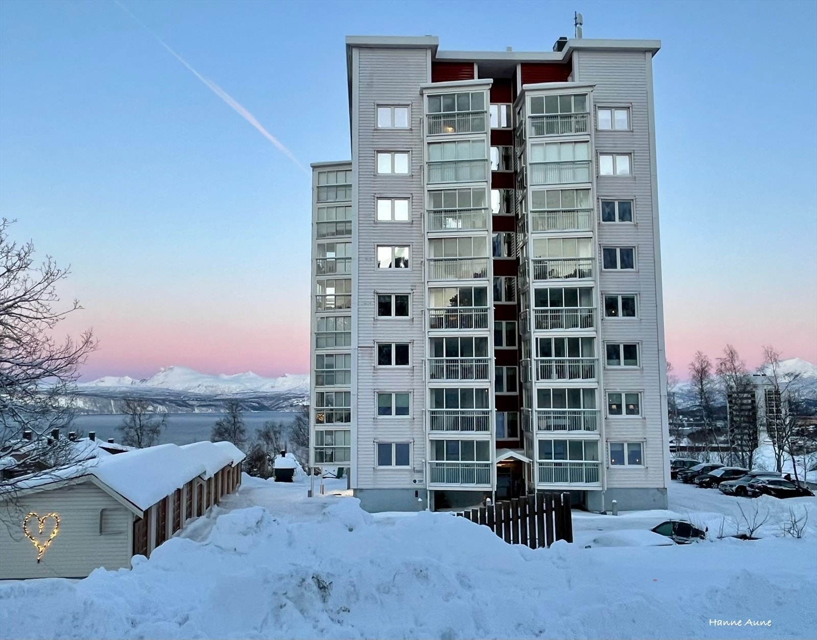 Selgers bilde Galleribilde