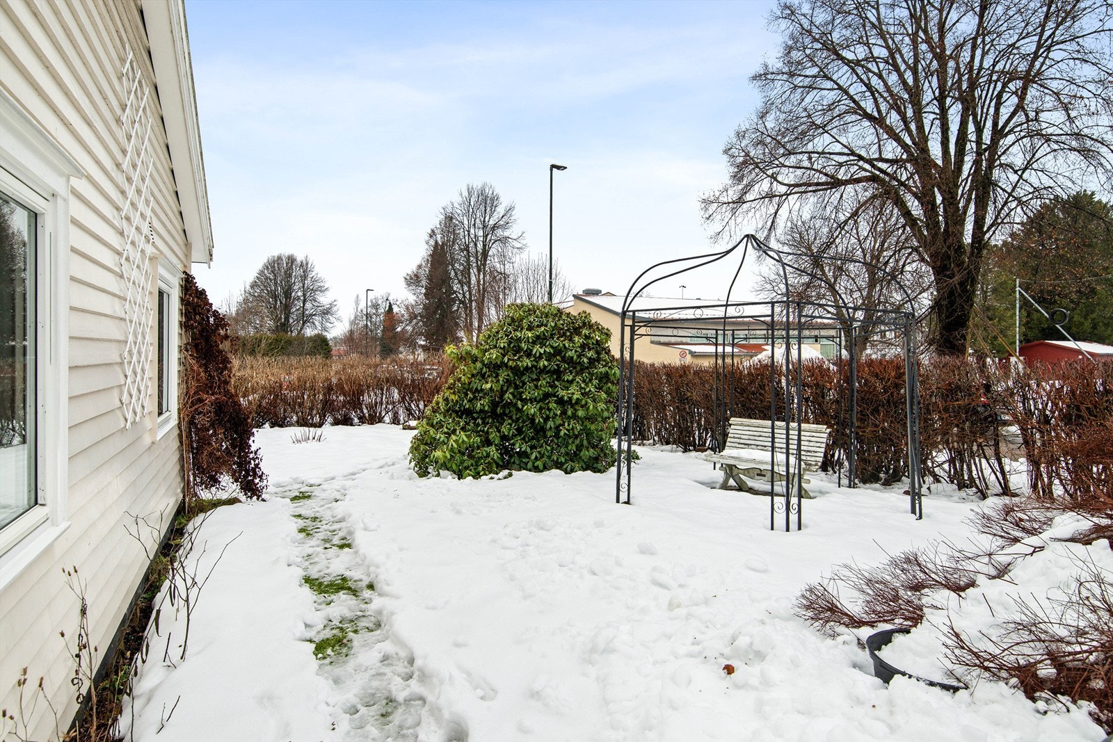 Koselig og solrik hage. Galleribilde