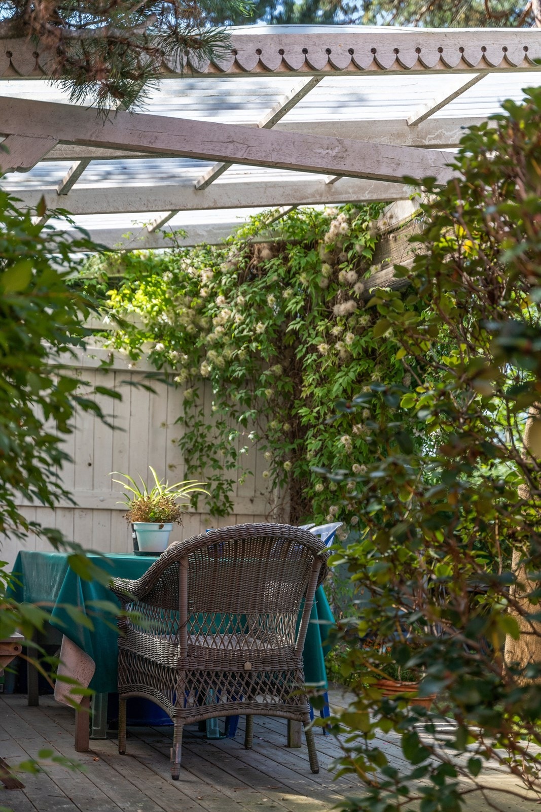 Frodig beplantning skaper en grønn og privat oase. Galleribilde