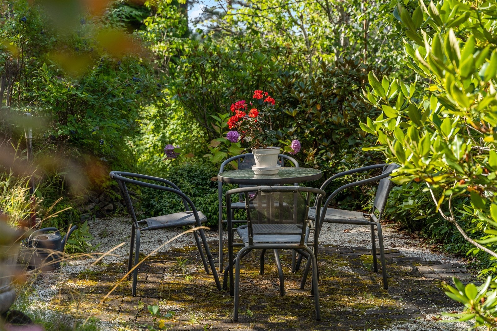 Hagen byr på flere usjenerte soner og sitteplasser. Galleribilde