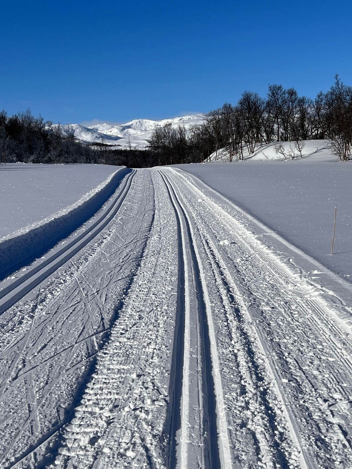 På vinterstid kan man benytte seg av de preparerte skiløypene i området. Galleribilde