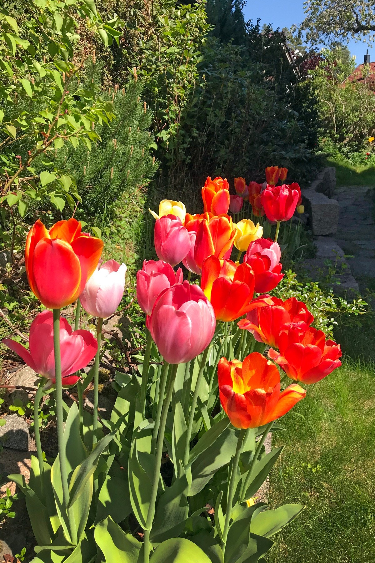 Selgers bilde. Galleribilde