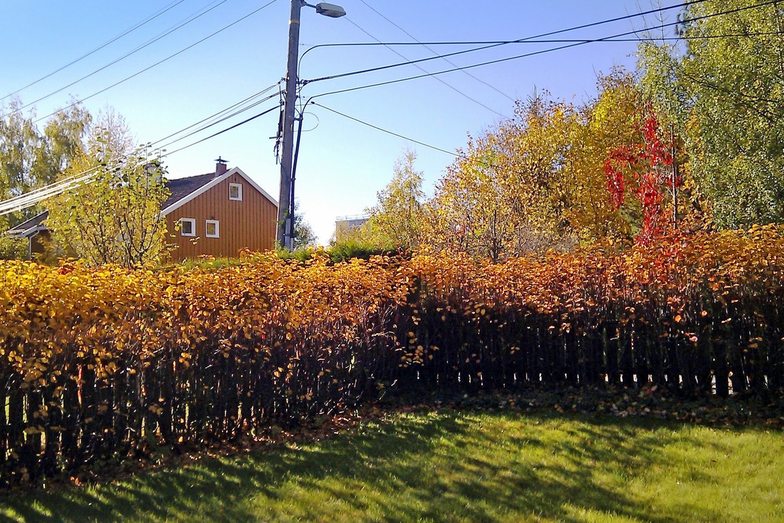 Pent opparbeidet hage. Selgers bilde. Galleribilde