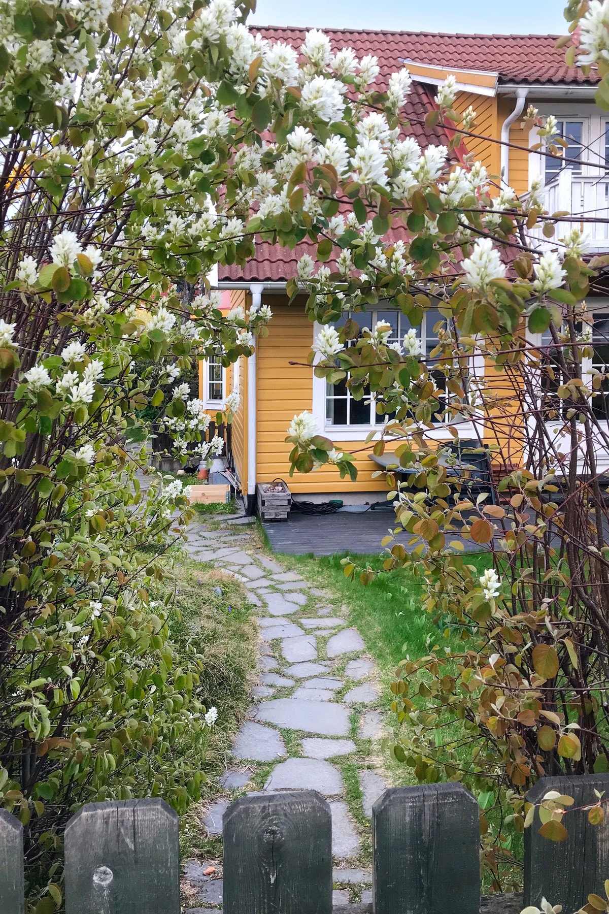 Port. Selgers bilde. Galleribilde