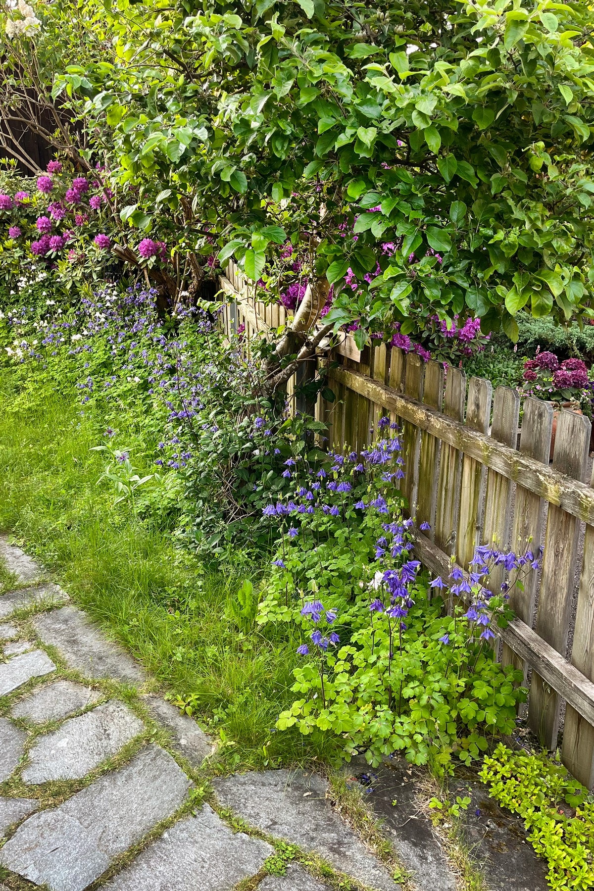 Selgers bilde. Galleribilde