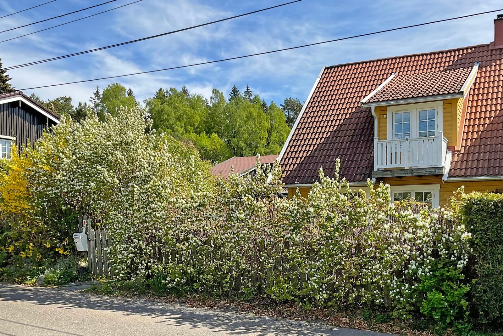 Skjermet hage. Selgers bilde. Galleribilde