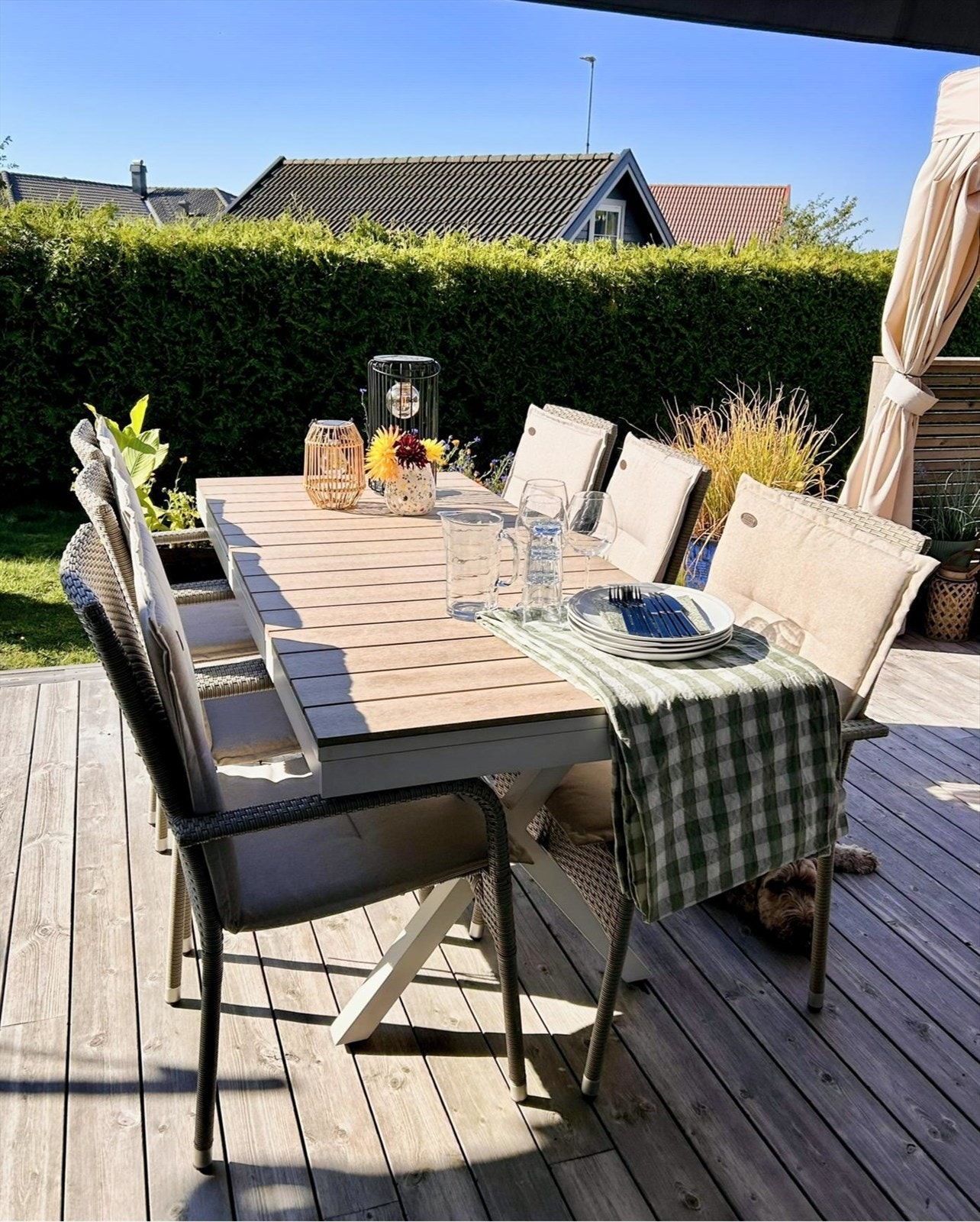 Sommerbilde fra selger. Galleribilde