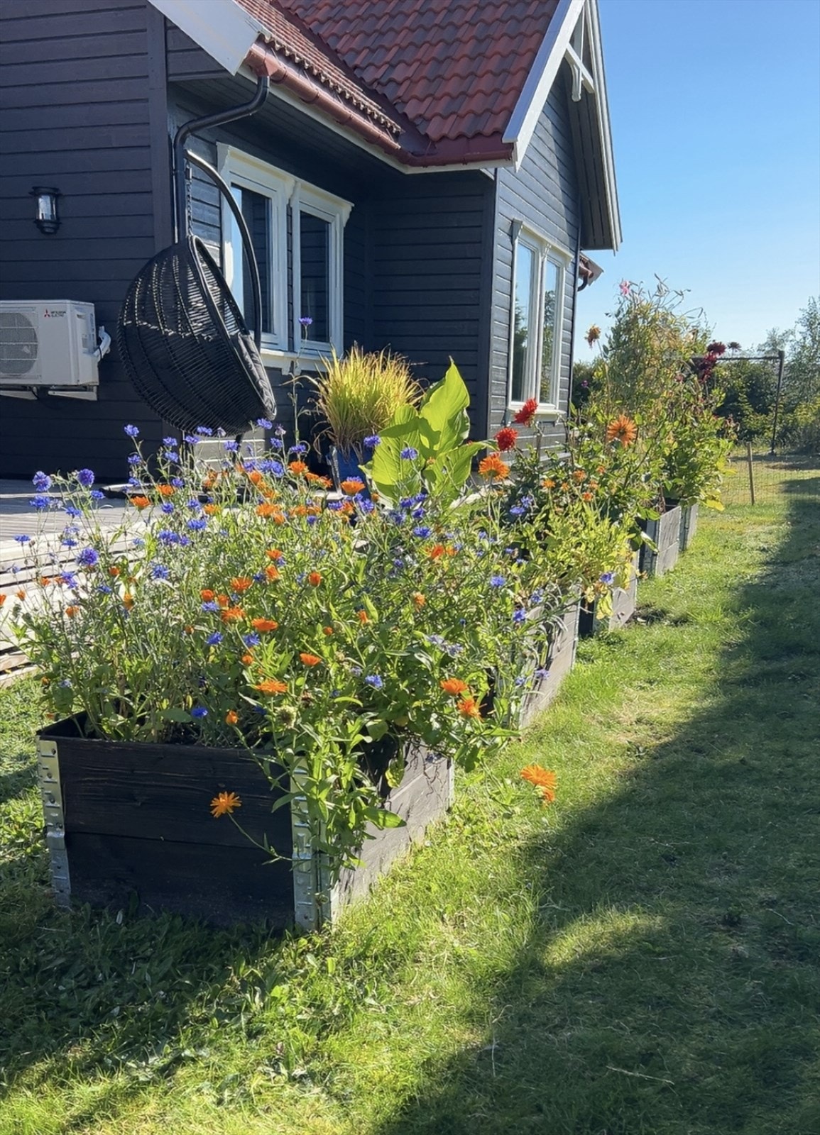 Sommerbilde fra selger. Galleribilde