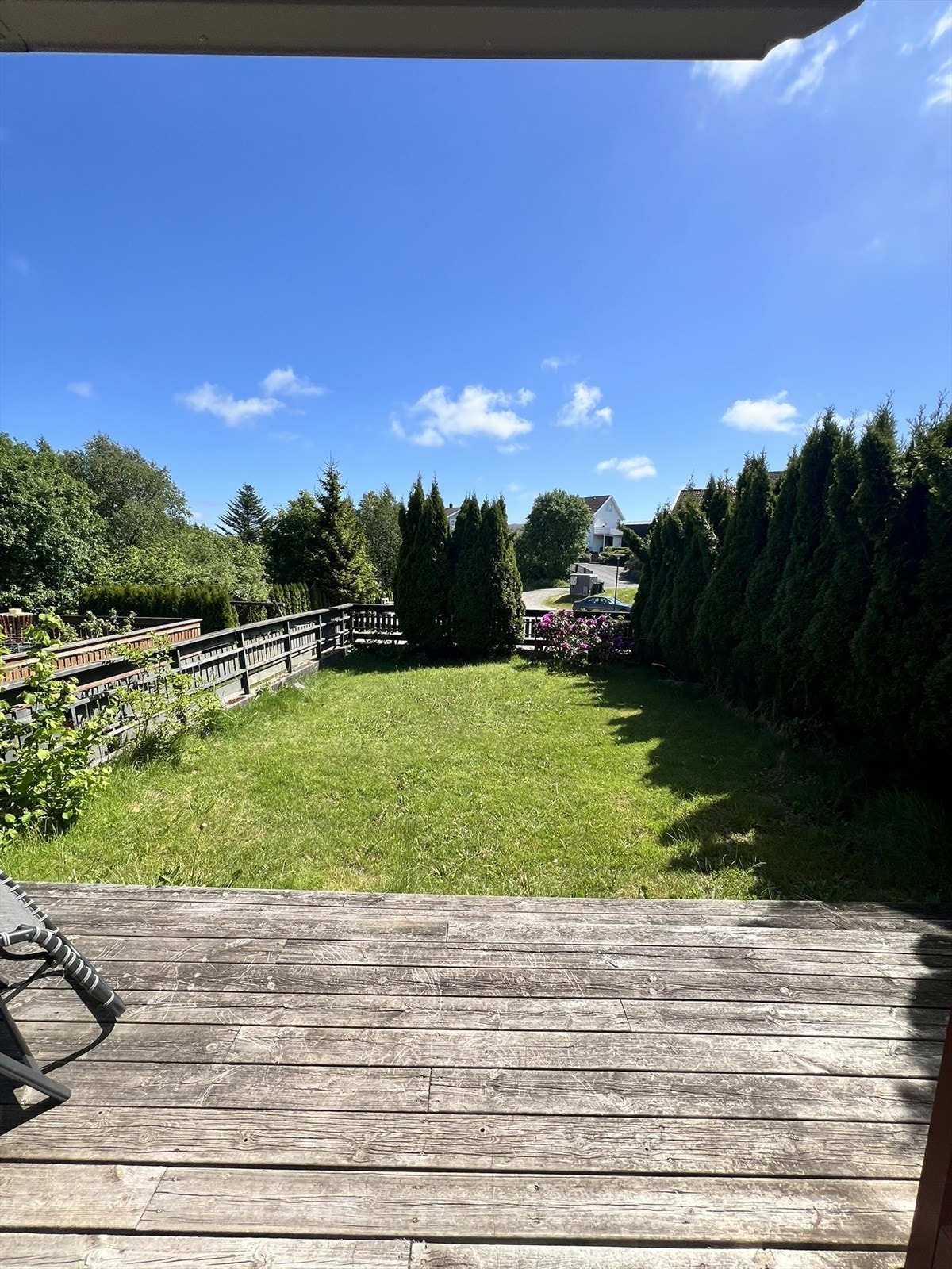 Hage sommerstid. Galleribilde