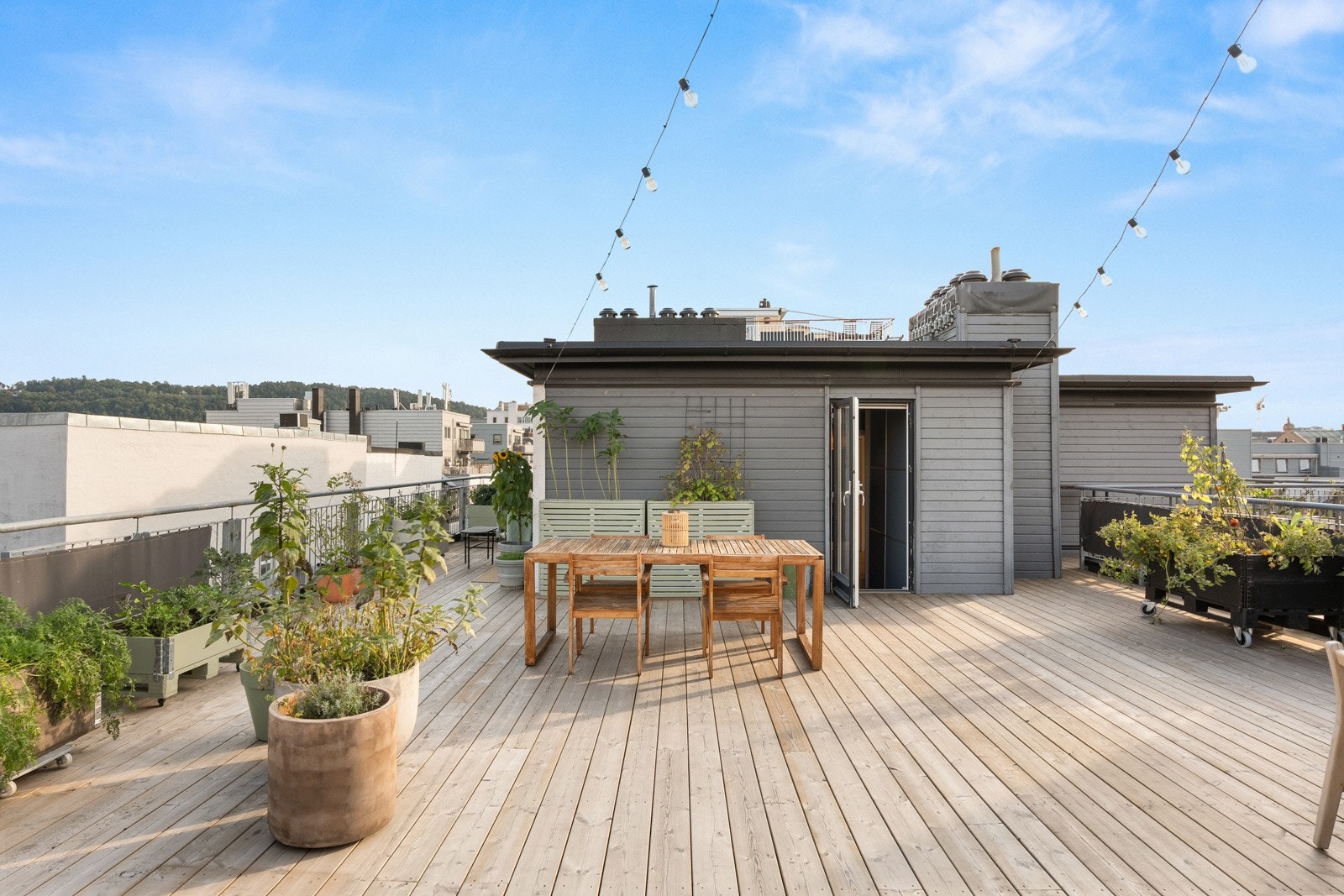 Her vil du trives! Galleribilde