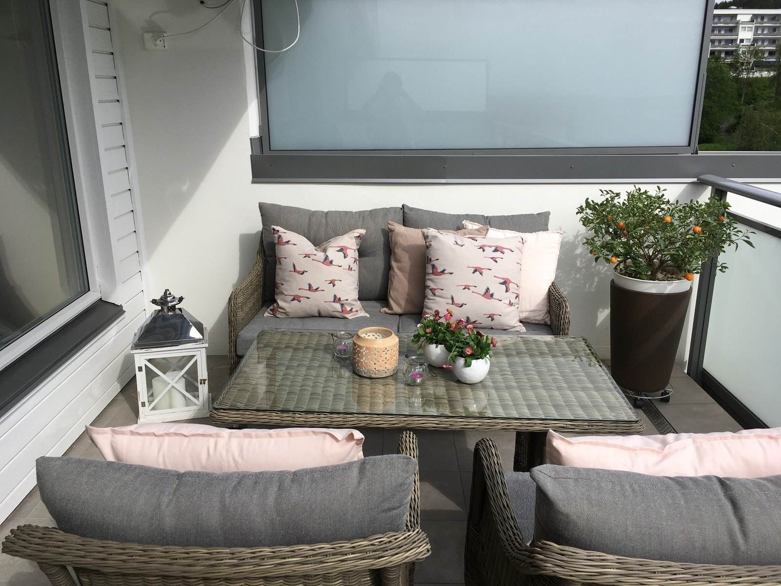 Sommerbilde fra eier Galleribilde