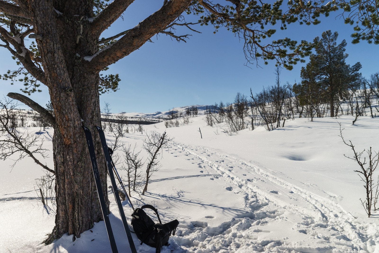 20180310-2505 Galleribilde