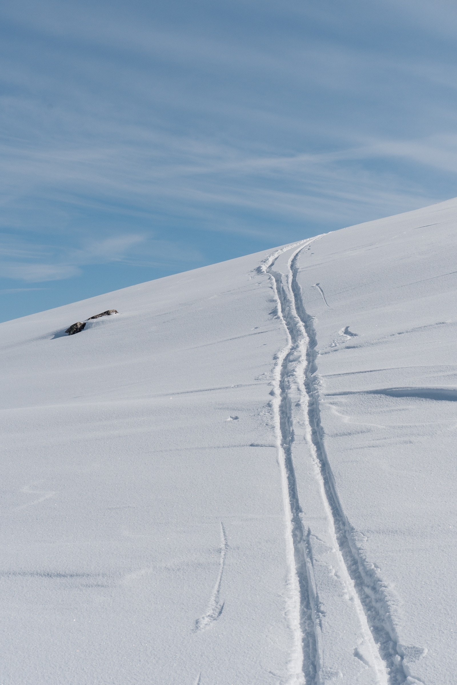 Hardangervidda som nærmeste nabo Galleribilde
