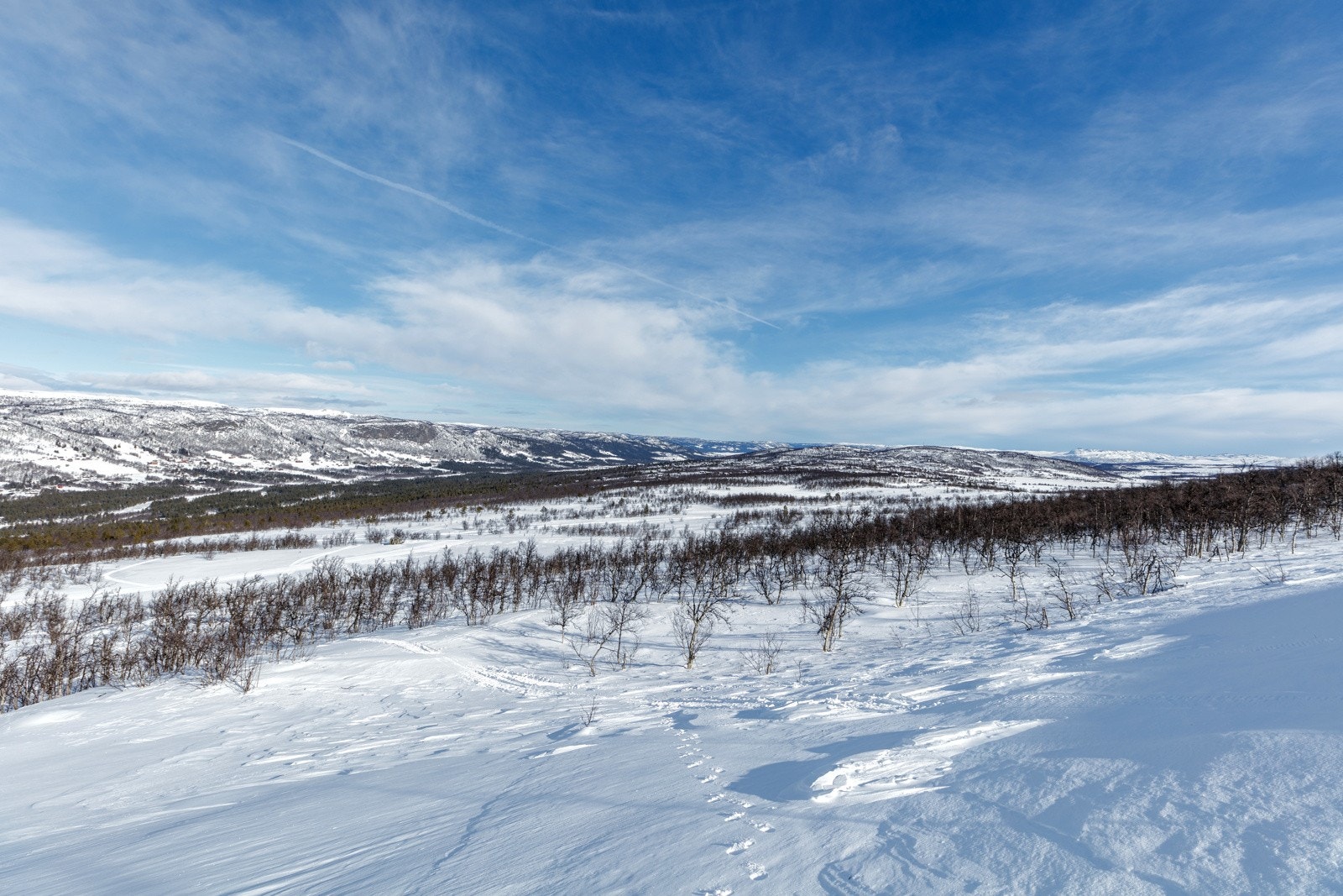 Skråningen mot Persstulhovda, på oversiden av tomten Galleribilde