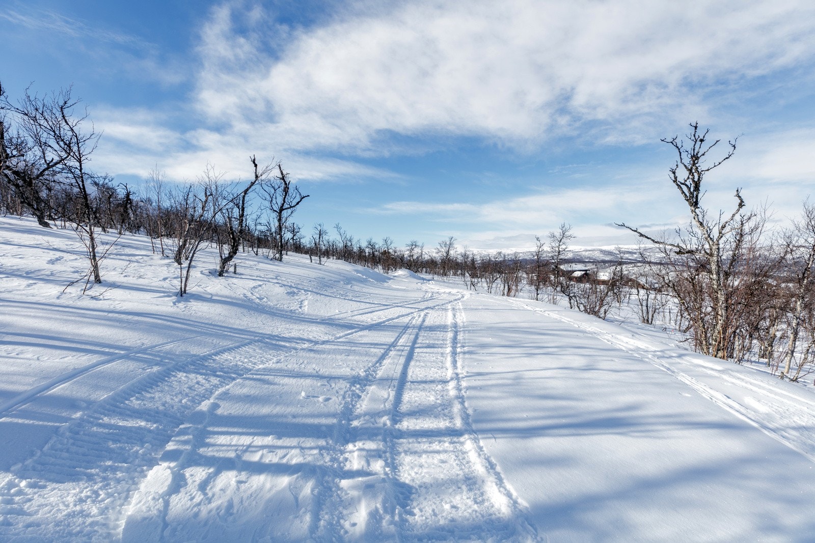 Vei inn mot tomten Galleribilde
