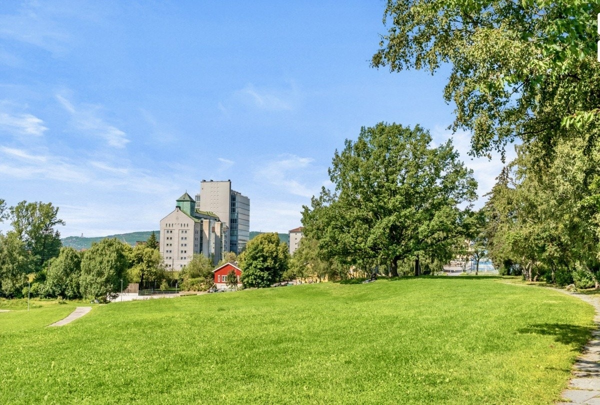 Grøntområde 3 i umiddelbar nærhet: Sinsenparken (med tennisbane) Galleribilde
