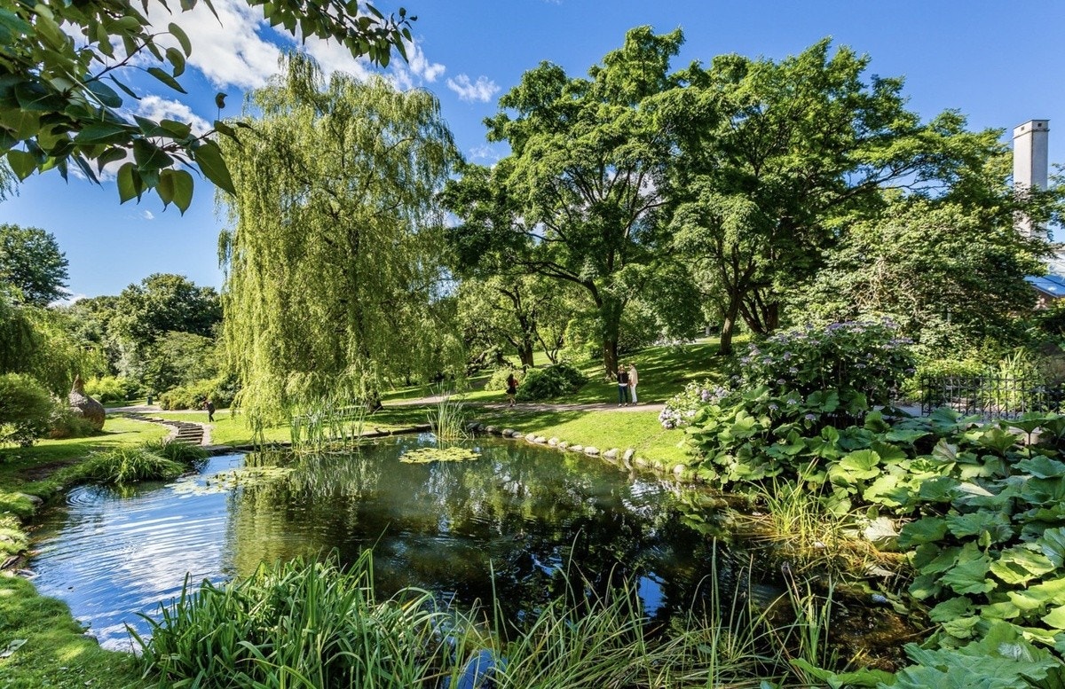Botanisk hage Galleribilde
