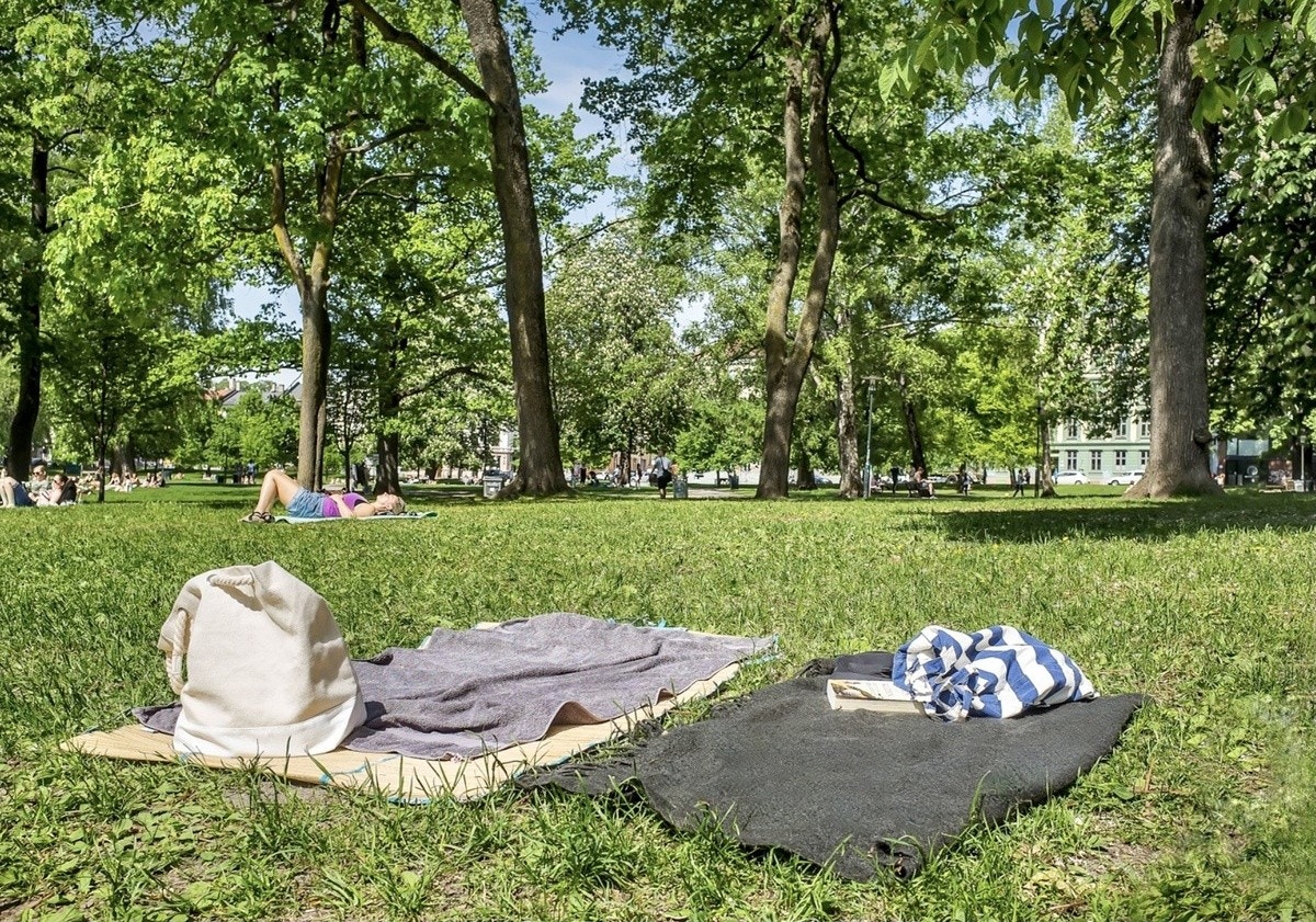Sofienbergparken: Sommer! Galleribilde
