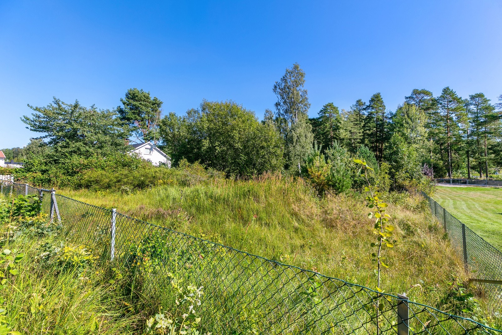 Det er gode solforhold på tomten og naturskjønne omgivelser. Galleribilde