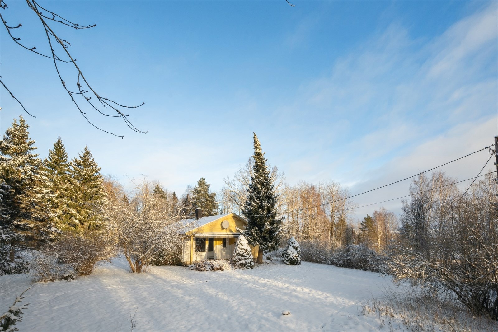 Tomten er opparbeidet med plen, beplantning og terrasse. Galleribilde