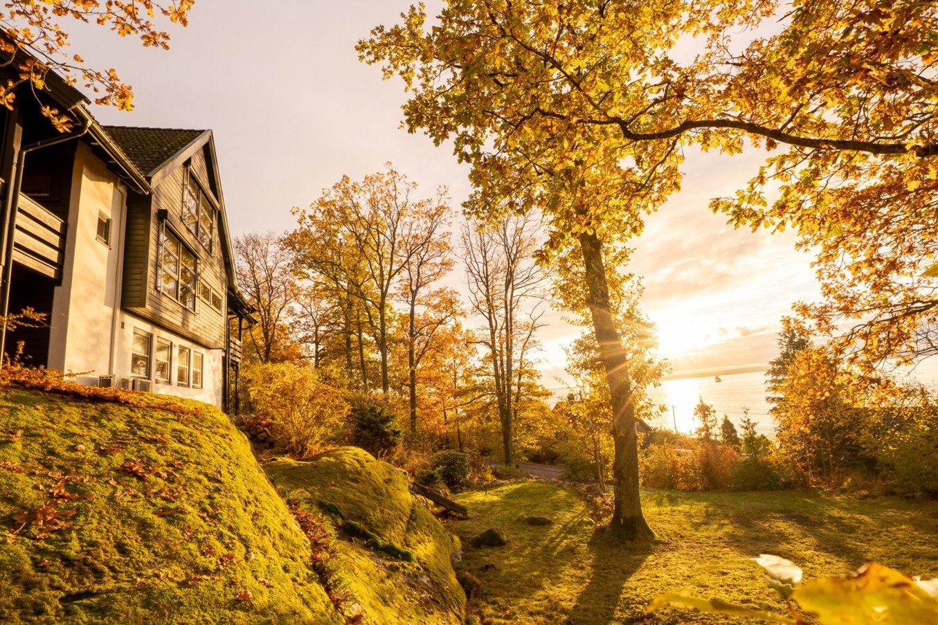 Velkommen til din neste bolig! Galleribilde