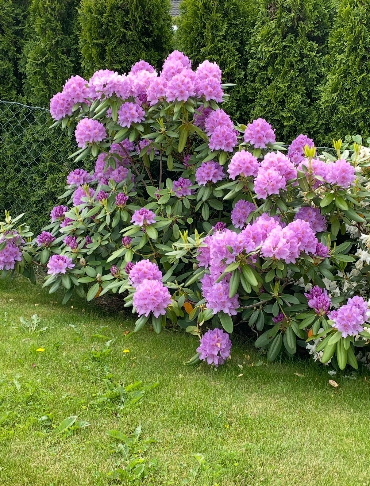 Privat bilde tatt av selger på en annen årstid. Galleribilde